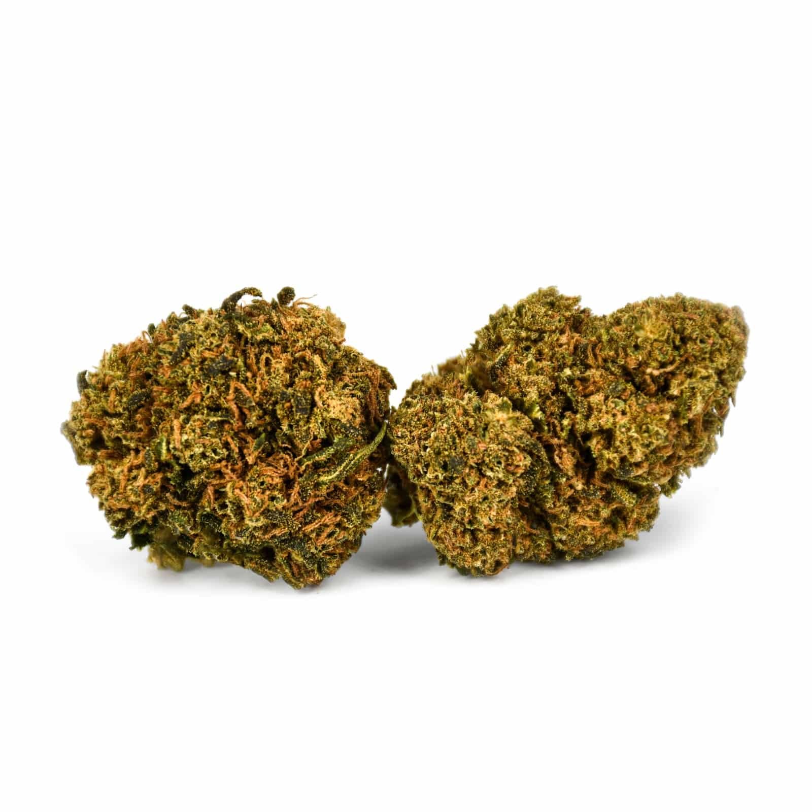 Critical Jack