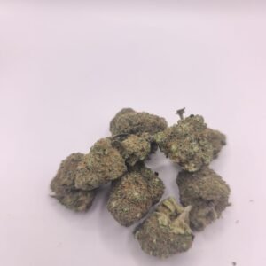 Santa Cruz Cali  indoor