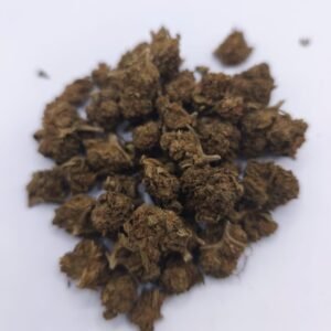 Orange MiniBuds
