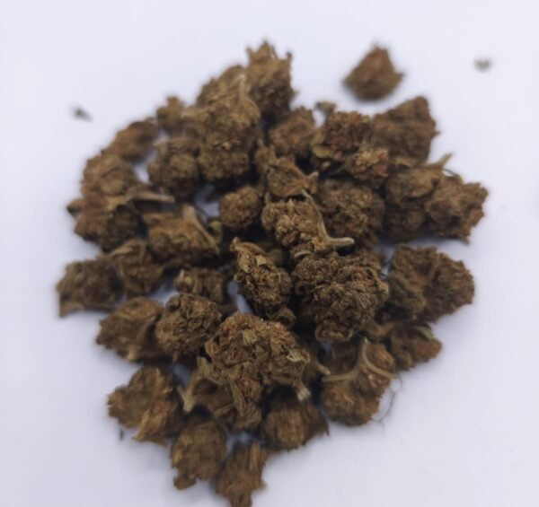 Orange MiniBuds