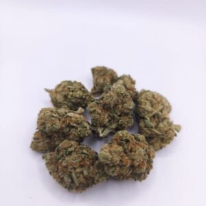 Amnesia 2.0 Indoor