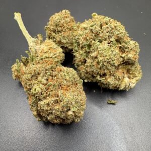 AK 47 Indoor