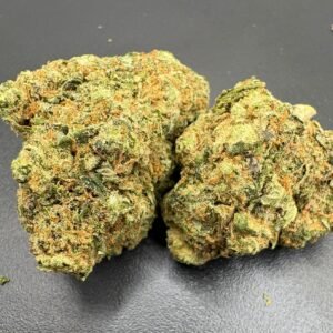 Lemon Cherry X Gelato