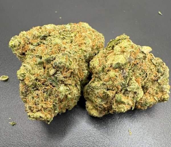 Lemon Cherry X Gelato