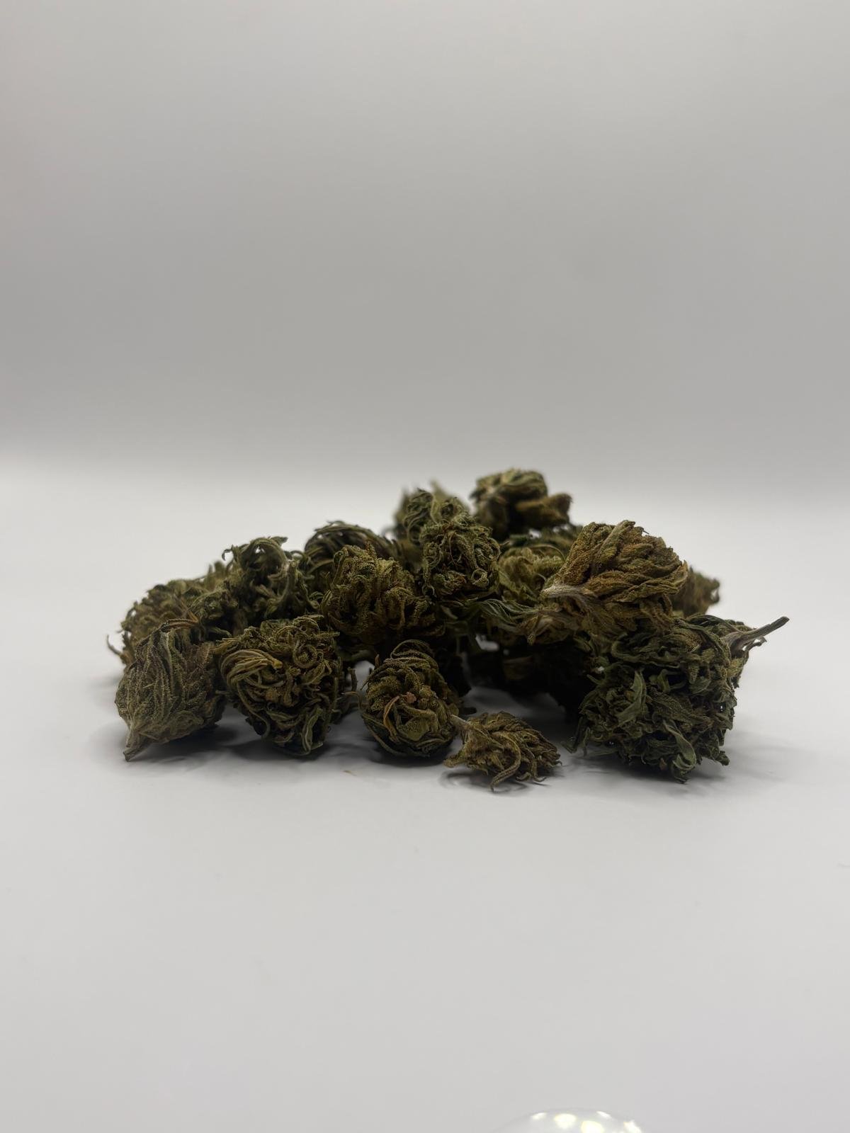 Minibuds Lemon V2 - Imagen 2