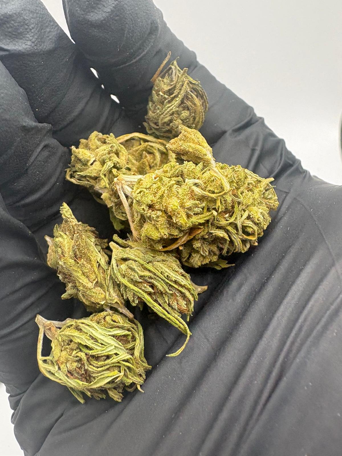 Minibuds Lemon V2 - Imagen 3