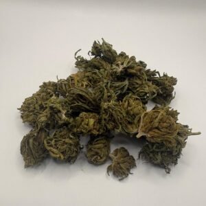 Minibuds Lemon V2