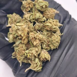 Cherry Boom Minibuds