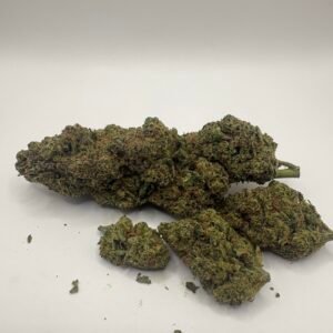 Plutonium Indoor