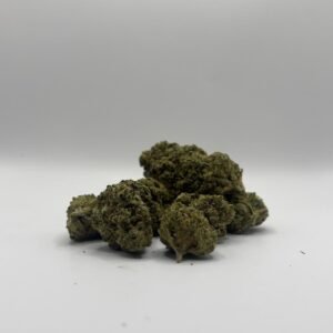 Bubble-Glue Indoor