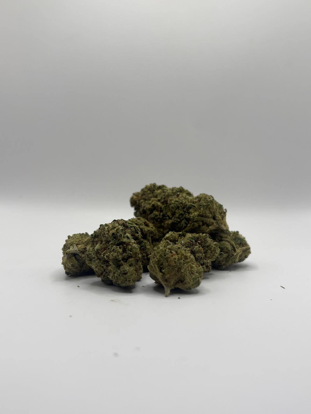 Bubble-Glue Indoor