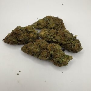 Tropical Ghost